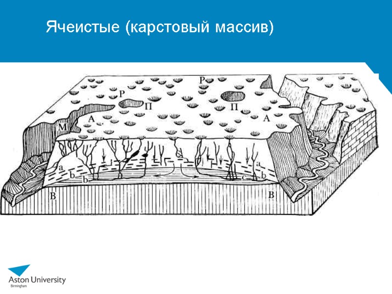 Ячеистые (карстовый массив)